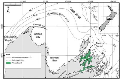 Seasonal forecasting of mussel aquaculture meat yield in the Pelorus Sound